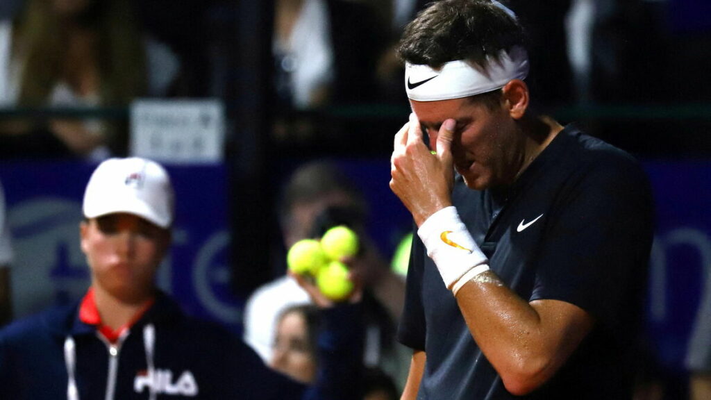 Tennis : « Un cauchemar sans fin », les aveux touchants de Juan Martin Del Potro sur sa vie depuis sa retraite