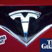 Tesla owners turn against Musk: ‘I’m embarrassed driving this car around’