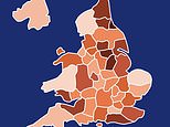 The UK's shoplifting hotspots: Interactive map reveals areas with highest number of store thefts - as inquiry finds reported crimes are just a 'drop in the ocean'