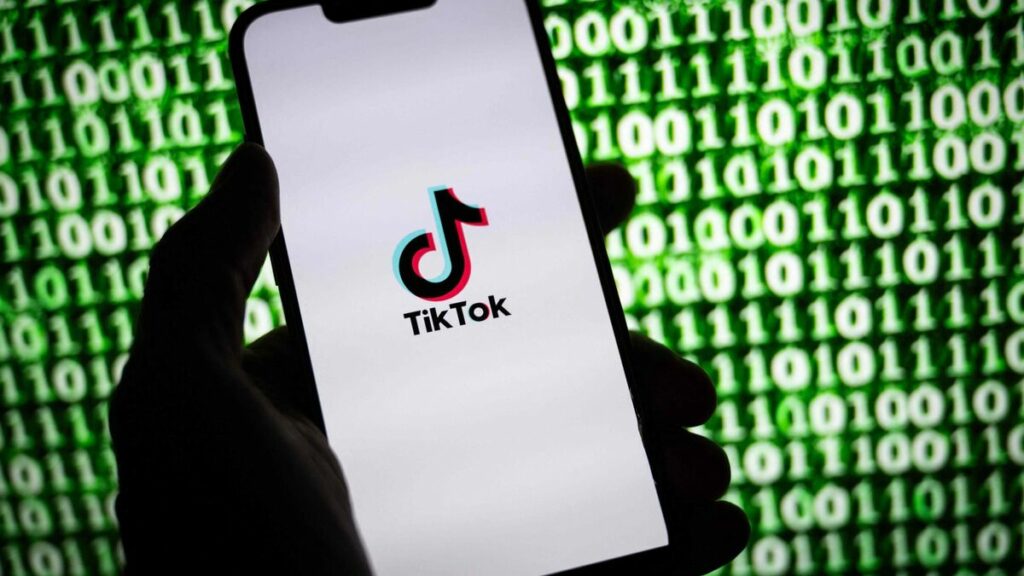 TikTok : sept familles assignent le réseau social en justice en France