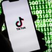 TikTok : sept familles assignent le réseau social en justice en France