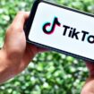 TikTok : sept familles françaises assignent le réseau social en justice