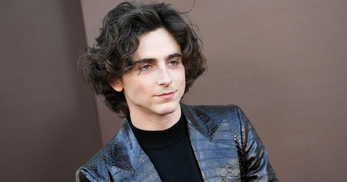 Timothée Chalamet confie avoir été victime de « body shaming » au début de sa carrière