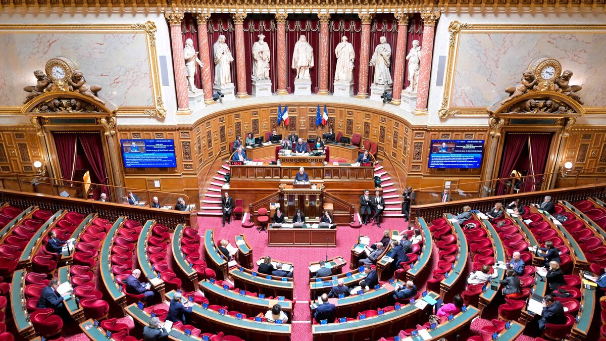 Travailler gratuitement 7 heures par an : le Sénat vote cette nouvelle « contribution » dans le budget de la Sécu