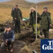 Two newly discovered stone circles on Dartmoor boost ‘sacred arc’ theory