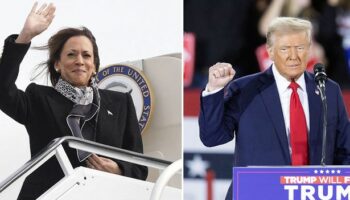 US presidential elections: How a Harris or Trump win would impact the UK