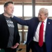 USA: Trump macht Musk zum Berater für Kürzung von Regierungsausgaben