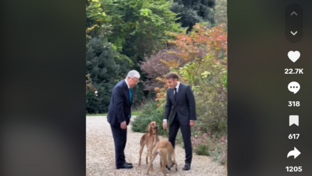 « Un bon trio avec Nemo » : Emmanuel Macron présente ses deux nouveaux chiens, offerts par le président du Kazakhstan