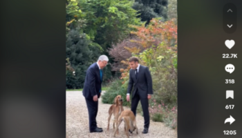 « Un bon trio avec Nemo » : Emmanuel Macron présente ses deux nouveaux chiens, offerts par le président du Kazakhstan