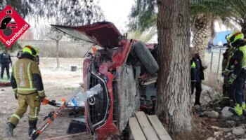 Un muerto y dos heridos al salirse de la vía un coche y chocar contra un árbol en la A-31 en Petrer