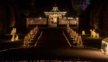 Un nouveau record d’affluence à venir ? Lumières en Seine prend le relais d’Halloween au domaine de Saint-Cloud