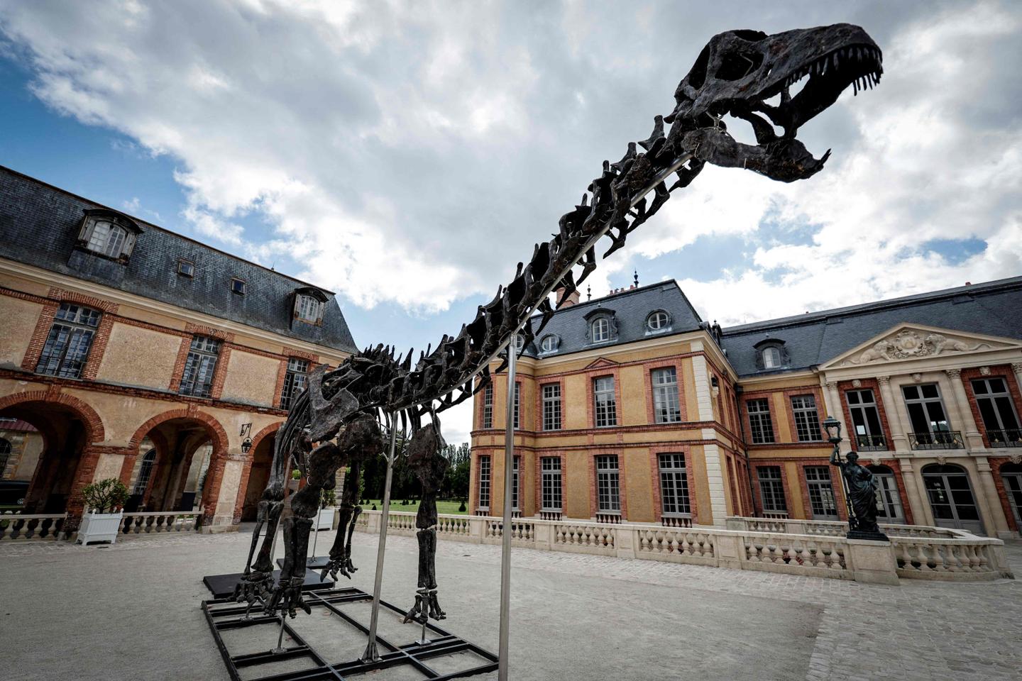 Un squelette géant de dinosaure vendu 6 millions d’euros dans les Yvelines