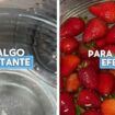 Una ingeniera en alimentos explica si es bueno limpiar las frutas y las verduras con cloro: «Para una buena desinfección...»