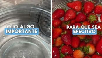 Una ingeniera en alimentos explica si es bueno limpiar las frutas y las verduras con cloro: «Para una buena desinfección...»