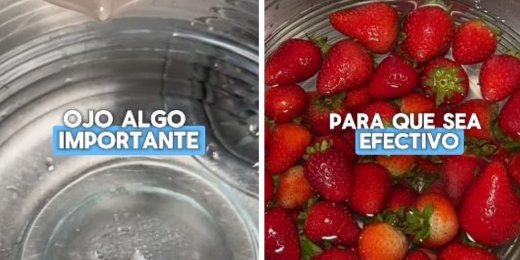 Una ingeniera en alimentos explica si es bueno limpiar las frutas y las verduras con cloro: «Para una buena desinfección...»