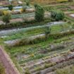 Une ferme bio du Loiret expérimente le remplacement des engrais azotés par de l’urine humaine