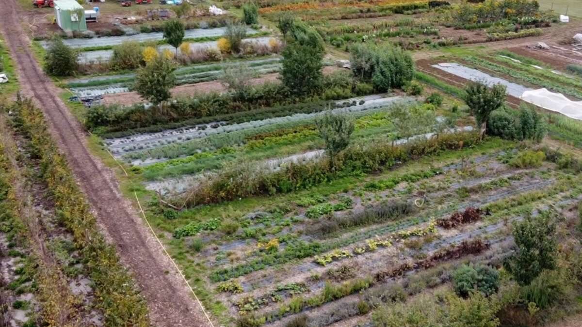 Une ferme bio du Loiret expérimente le remplacement des engrais azotés par de l’urine humaine