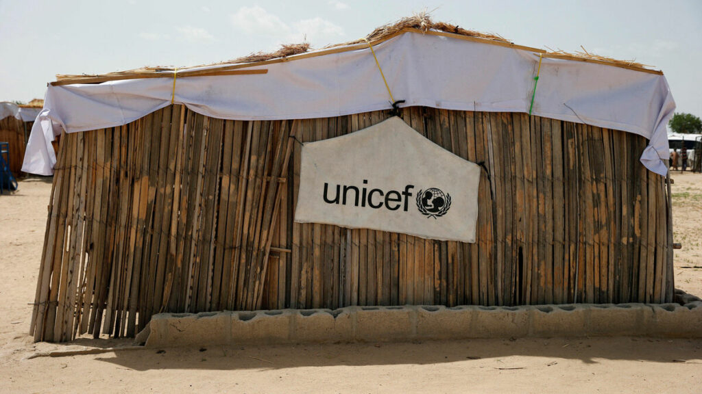 Une infirmière de l’Unicef kidnappée par des djihadistes et forcée de se marier réussit à s’échapper au Nigeria