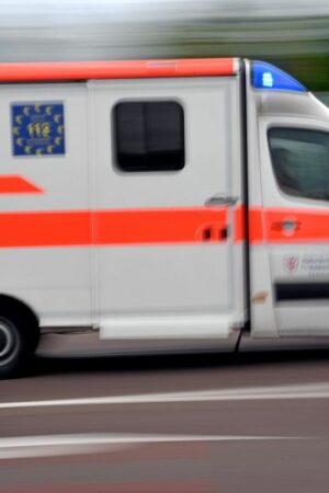 Fünf Menschen wurden verletzt, als ein Bus wegen eines Rehs bremste. (Symbolbild) Foto: Hendrik Schmidt/dpa-Zentralbild/dpa