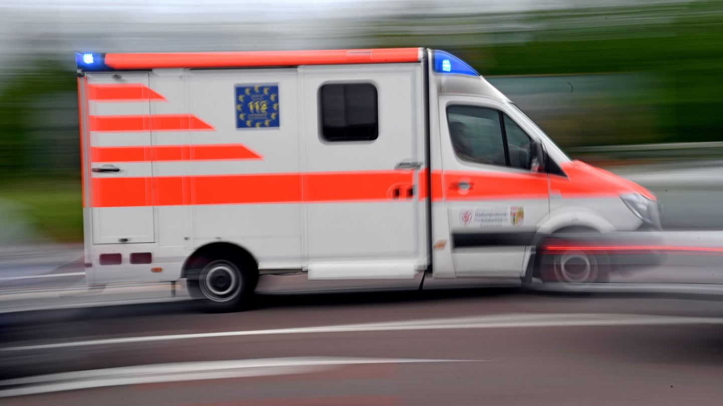 Fünf Menschen wurden verletzt, als ein Bus wegen eines Rehs bremste. (Symbolbild) Foto: Hendrik Schmidt/dpa-Zentralbild/dpa