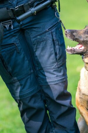 Nach einem Autounfall ist bei Burgdorf ein Polizeihund entlaufen. (Symbolbild) Foto: Mohssen Assanimoghaddam/dpa