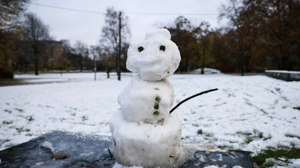 In Hamburg und Schleswig-Holstein ist in der Nacht der erste Schnee liegen geblieben. Foto: Christian Charisius/dpa