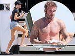 Victoria Beckham and shirtless husband David share similar taste in books as they read chilling thrillers by same author while soaking up the sun on their £16M superyacht in Miami