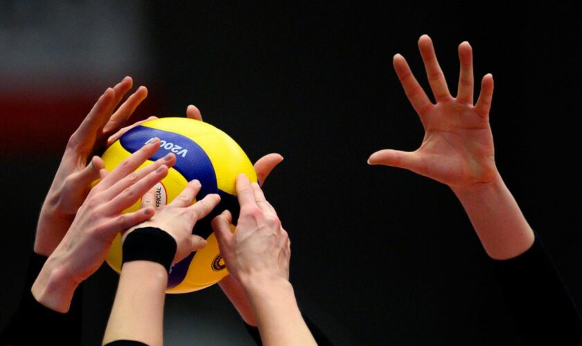 Die Dresdner Volleyballerinnen gewinnen gegen Potsdam und feiern den siebten Sieg im achten Spiel. Foto: Robert Michael/dpa-Zent