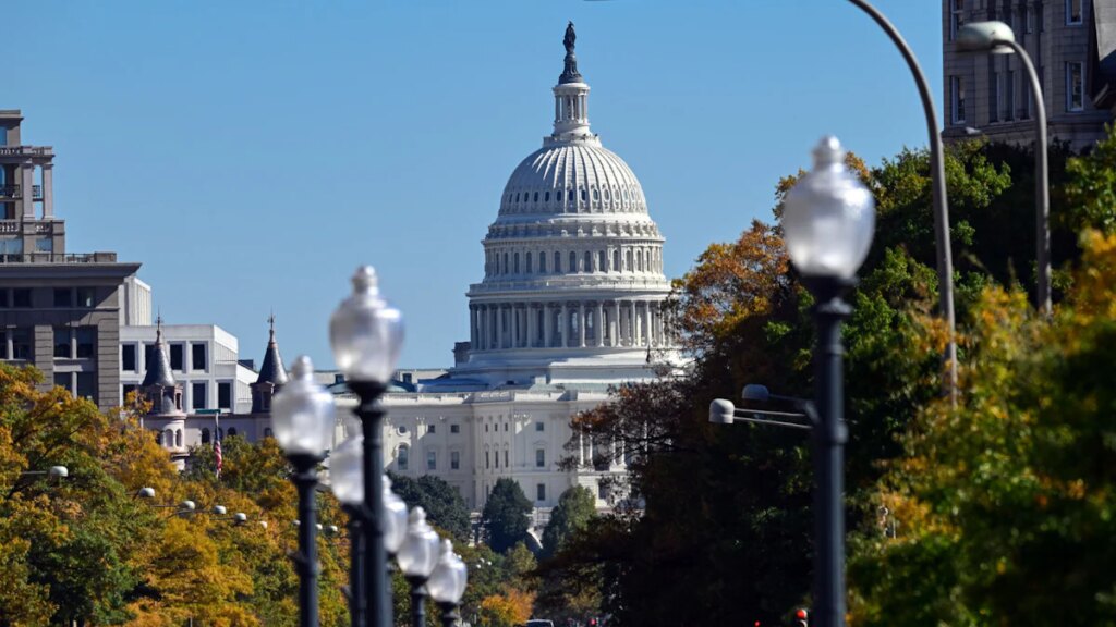 Wahl in den USA: Republikaner verteidigen Mehrheit im Repräsentantenhaus