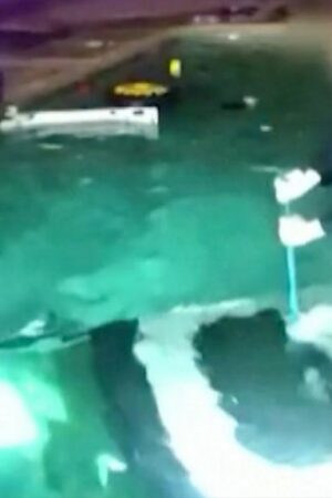 Watch: Moment police officer rescues man trapped in submerged car