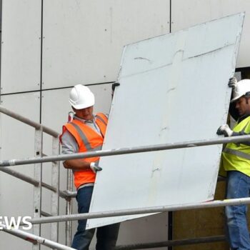 Watchdog says cladding removal deadline may be missed