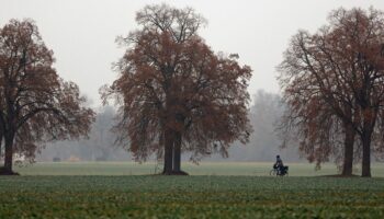 Herbstlich grau startet das Wochenende in Sachsen. Am Sonntag beginnt es zu regnen und im Bergland schneit es. (Symbolbild) Foto