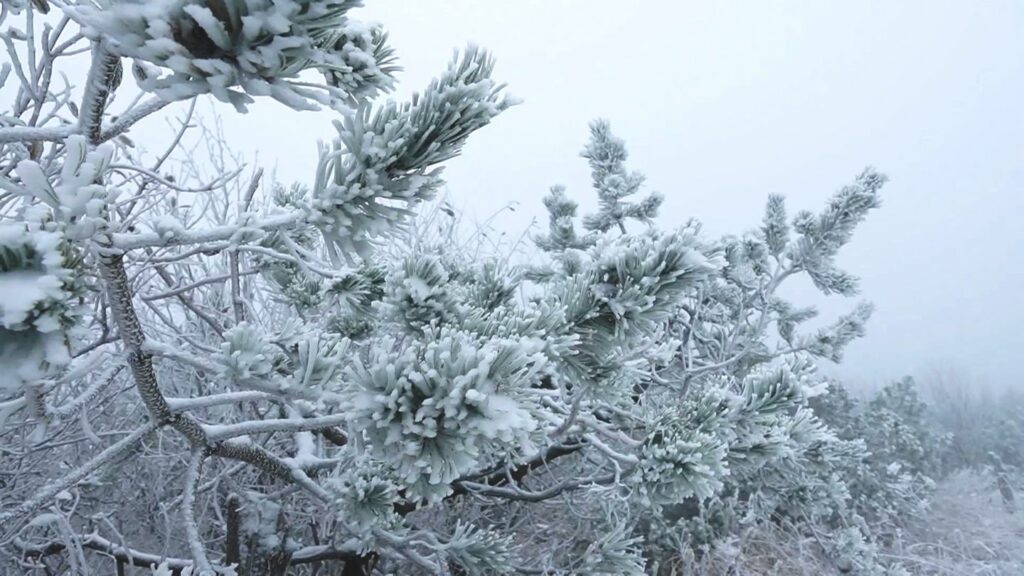 Wetterprognose: Der Winter meldet sich (kurz) an – erster Schnee in Deutschland