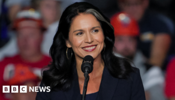 Who is Trump intelligence pick Tulsi Gabbard, accused of repeating Russian talking points?