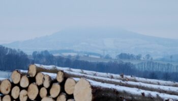 Der Fichtelberg im Erzgebirge ist von Nebel umhüllt. In Sachsen gab es verbreitet glatte Straßen. (Archivbild) Foto: Sebastian W