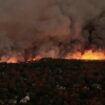 Wütende Waldbrände: "Wir hatten keine Zeit" – Feuer zerstört 130 Häuser in Kalifornien