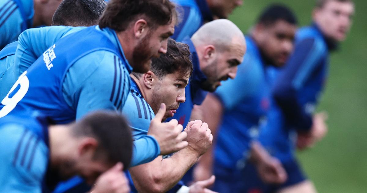 XV de France : Antoine Dupont et les Bleus, un an après