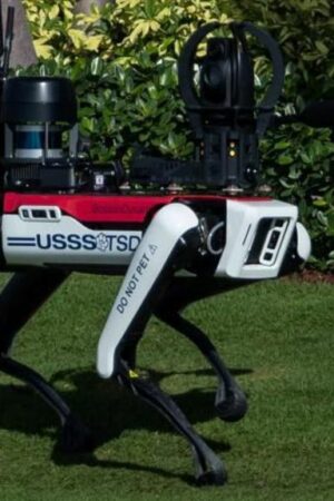 ‘Do not pet’: Why are robot dogs patrolling Mar-A-Lago?