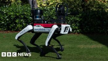 ‘Do not pet’: Why are robot dogs patrolling Mar-A-Lago?