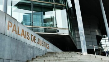 Meurtre de Lilian Dejean à Grenoble : le suspect "reconnaît sa responsabilité", assure un de ses avocats