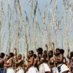 Danse des roseaux et test de virginité : les Zoulous sud-africains veillent sur leurs traditions