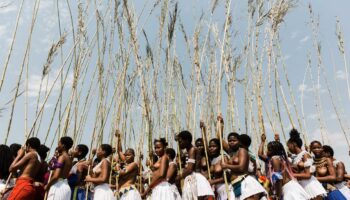 Danse des roseaux et test de virginité : les Zoulous sud-africains veillent sur leurs traditions