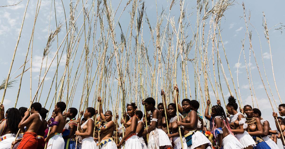 Danse des roseaux et test de virginité : les Zoulous sud-africains veillent sur leurs traditions