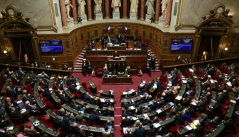 Budget 2025 : le Sénat adopte la partie «recettes», la gauche boycotte le vote