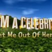 Second I’m a Celebrity star of the series eliminated