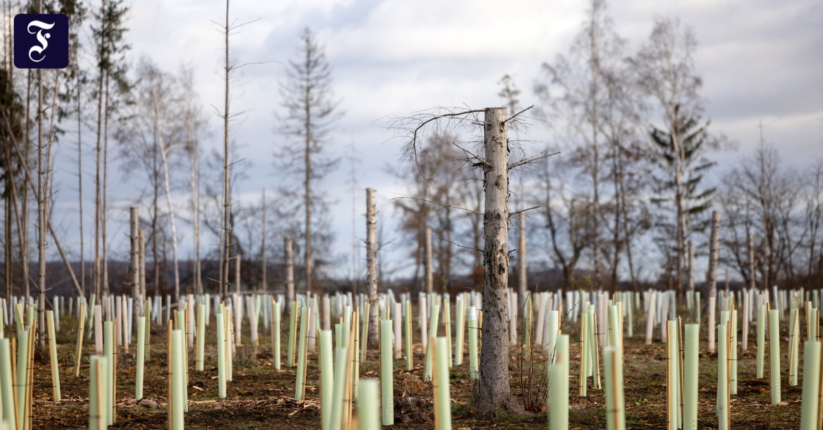 Können Staaten rechtlich zum Klimaschutz verpflichtet werden?