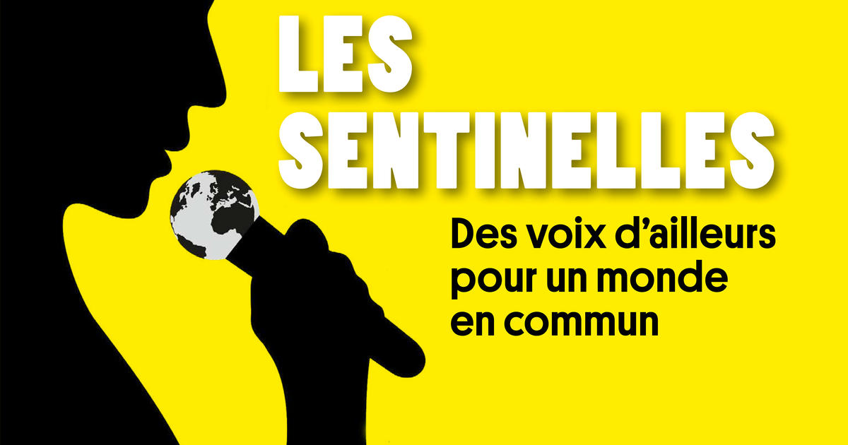 “Les Sentinelles” : qu’est-ce que le créole ?