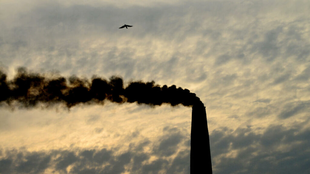 Un procès historique sur le climat devant la Cour de La Haye