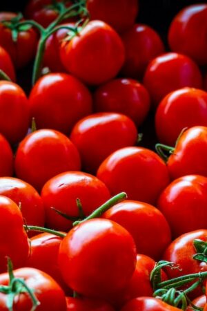 Les tomates de sauces dites italiennes proviendraient en réalité du travail forcé des Ouïghours en Chine