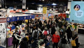 Littérature : record d'affluence au Salon du livre et de la presse jeunesse de Montreuil, avec 198 000 visiteurs